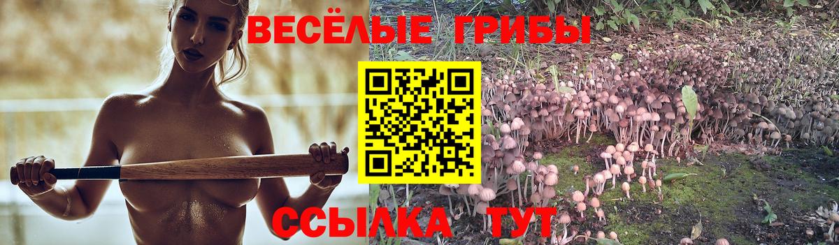 Псилоцибиновые грибы ЛСД Балаково